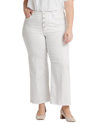 Nydj Plus Teresa Beach Cruise Stripe Ankle Crop Jean