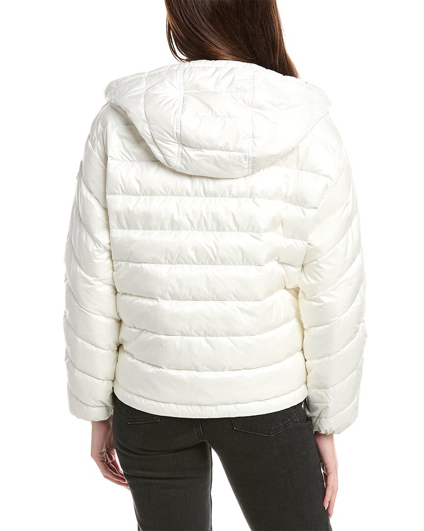 Moncler Delfo Jacket
