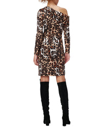 Diane Von Furstenberg Perry Dress