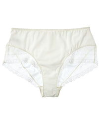 Simone Perele Retro Brief Brown