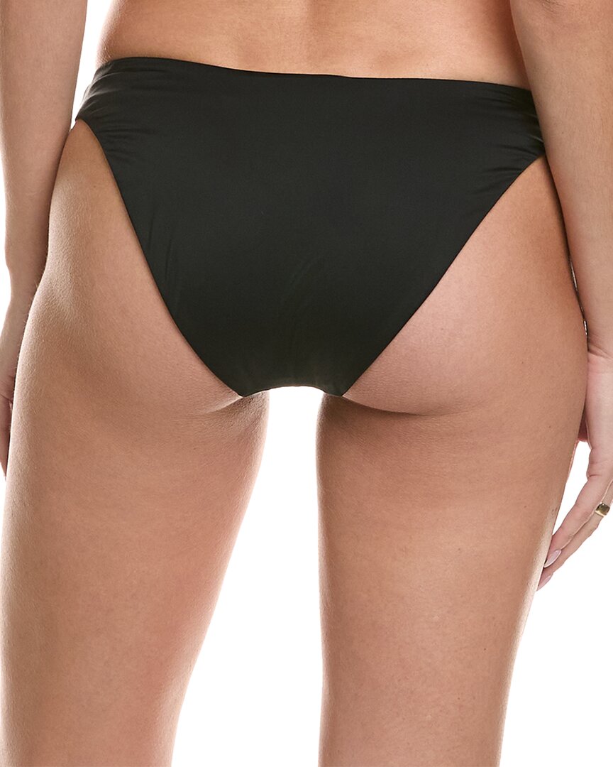 Dippin' Daisy's Charlie Bottom