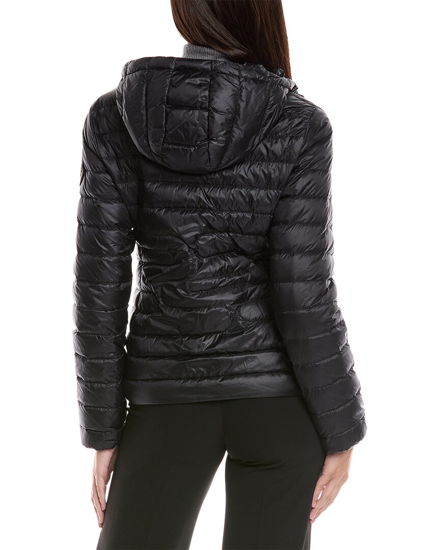 Moncler Down Jacket
