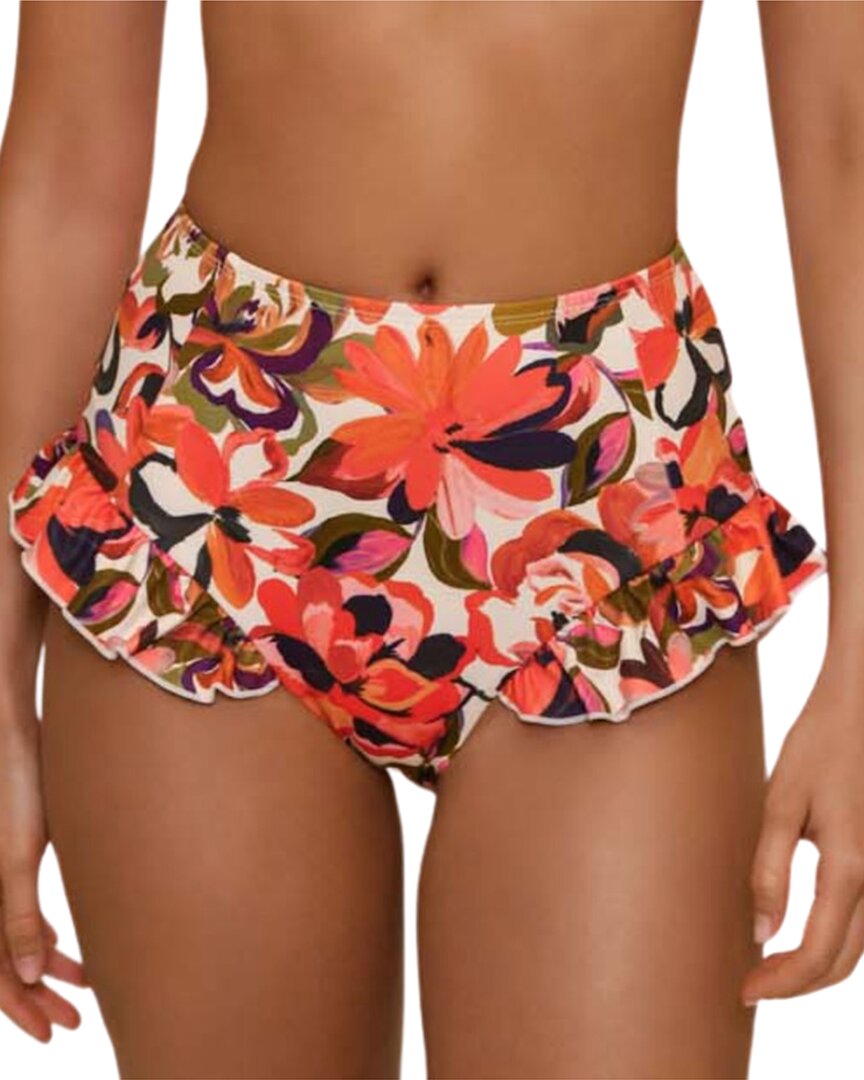 Hutch Wila Bottom
