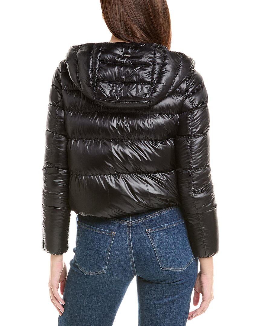 Herno Jacket