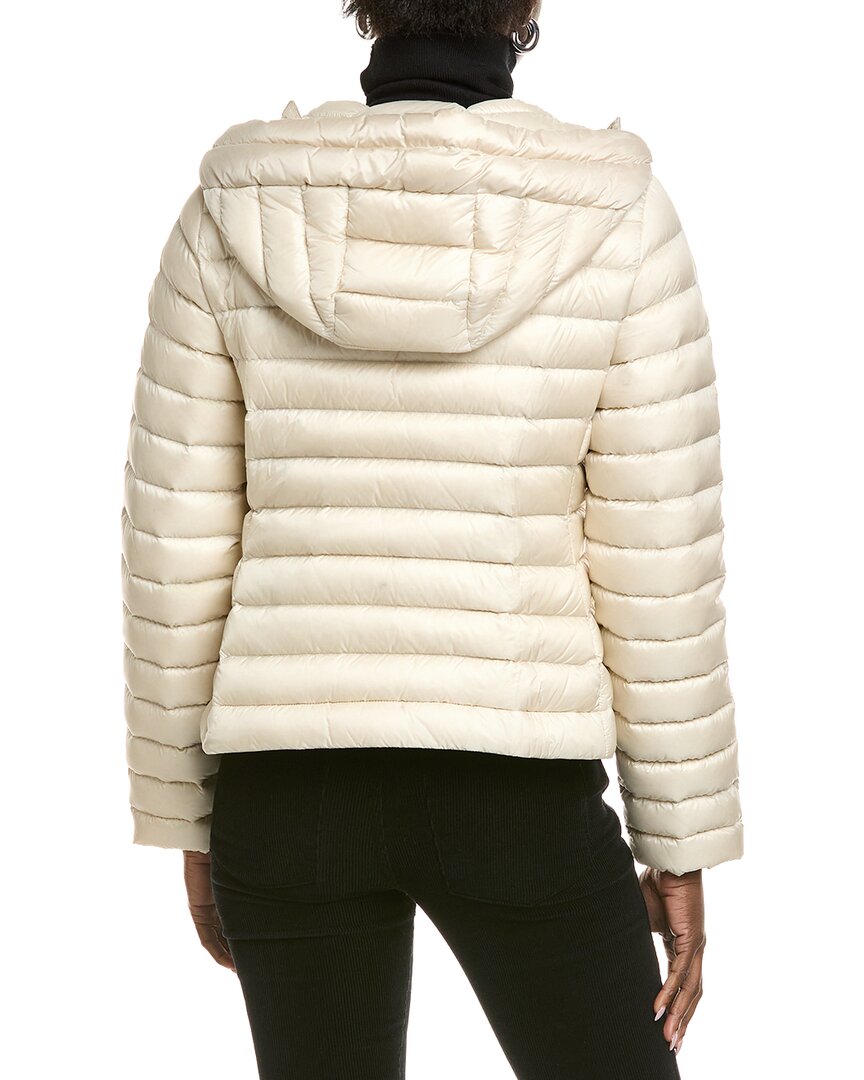 Moncler Jacket