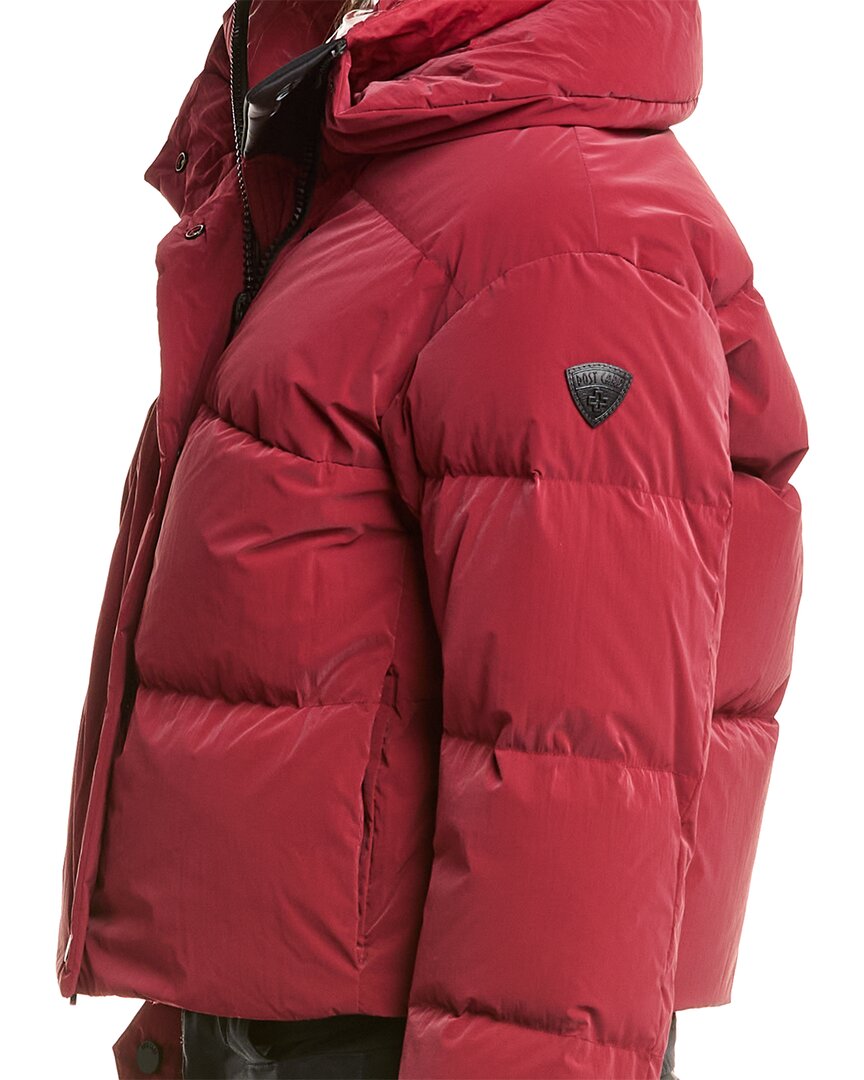 Post Card Down Puffer Jacket