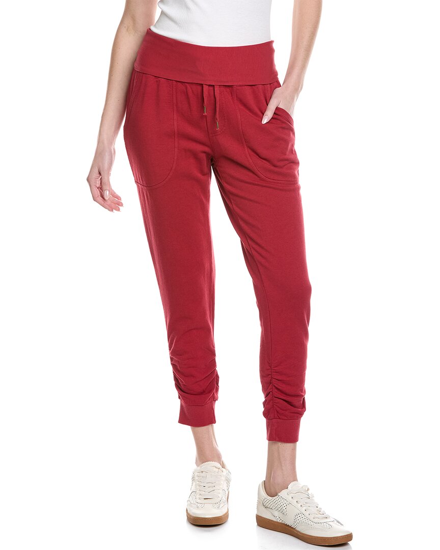 Xcvi Yaeger Jogger Pant