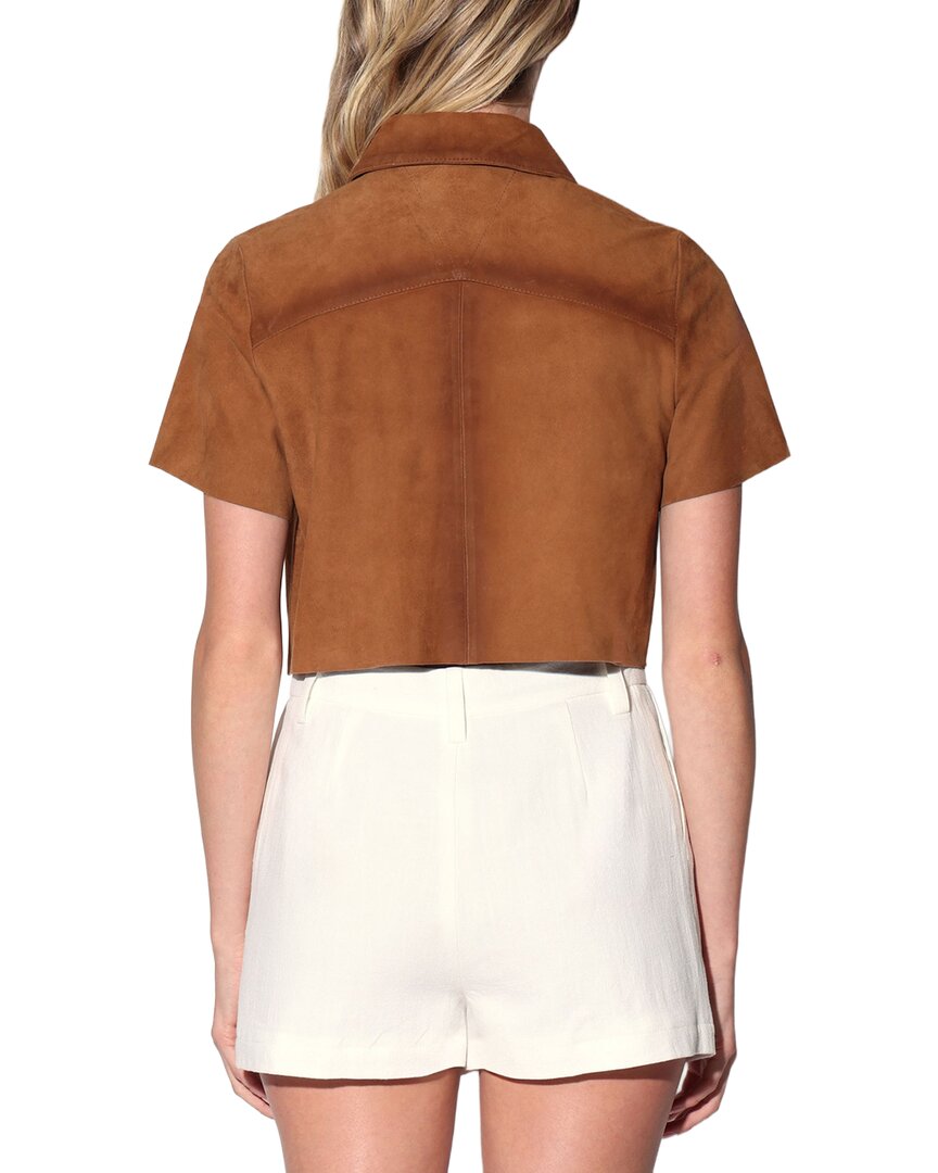 Walter Baker Karla Suede Top