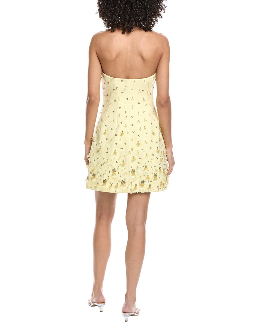 Simkhai Yasmin Bustier Mini Dress