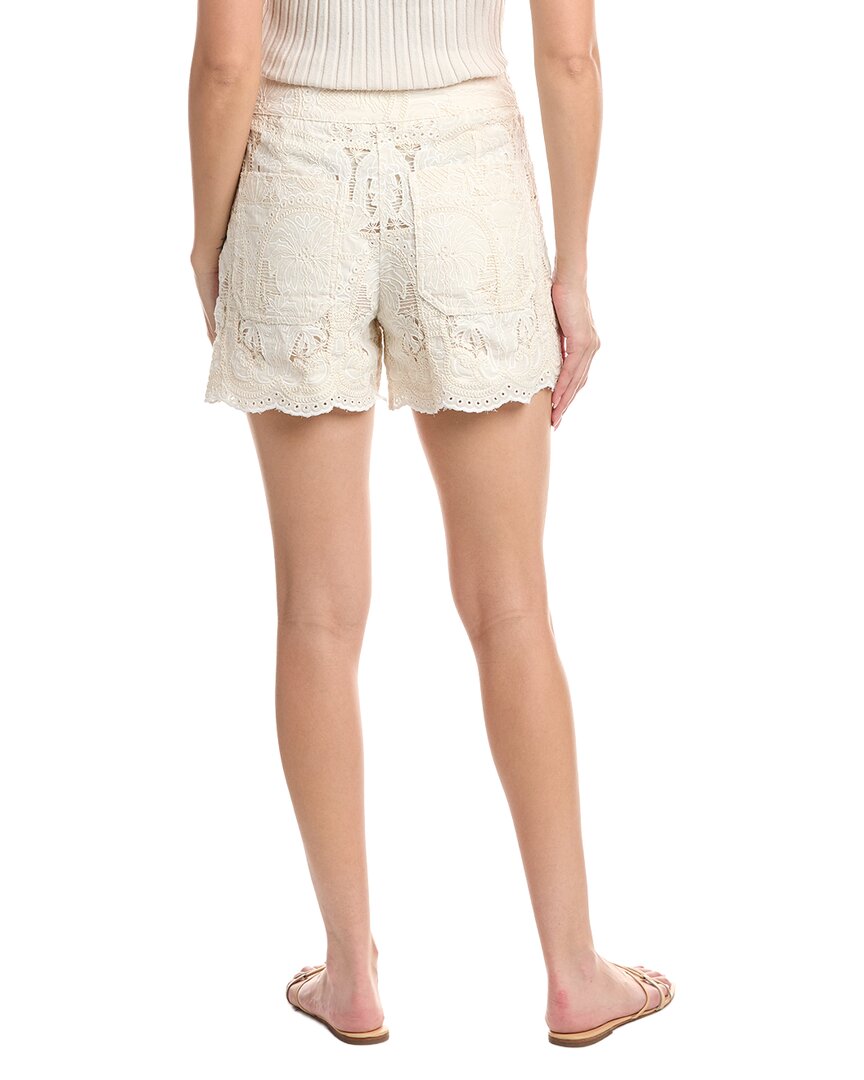 Stellah Julia Novelty Lace Short