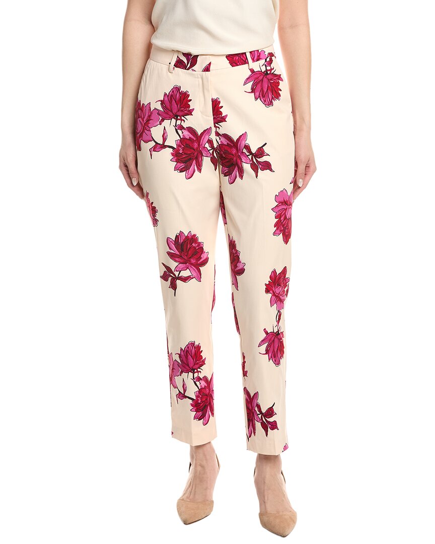 Tahari Asl Pant