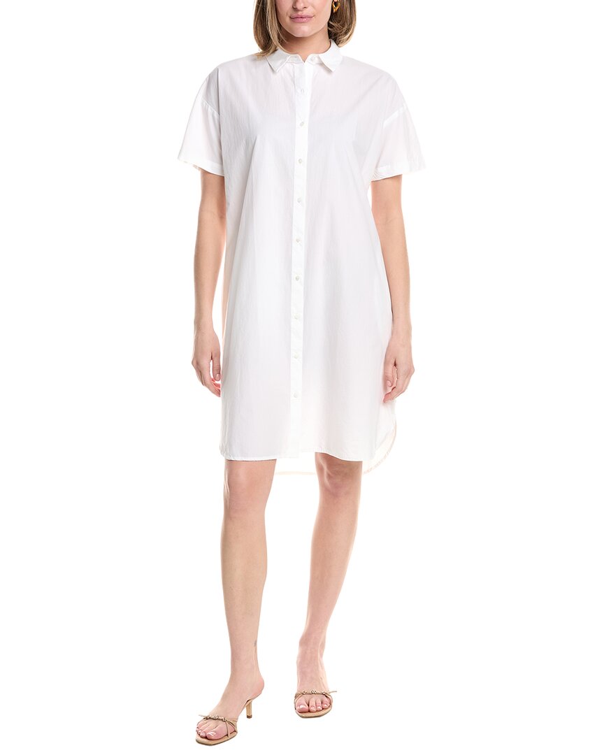 Eileen Fisher Classic Collar Dress