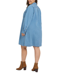 Nydj Plus Reese Dress