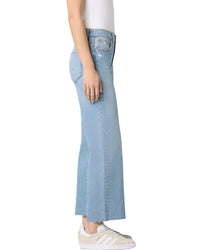 Hudson Jeans Rosalie Sierra Jean