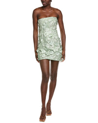 Endless Rose Floral Embroidered Mini Dress