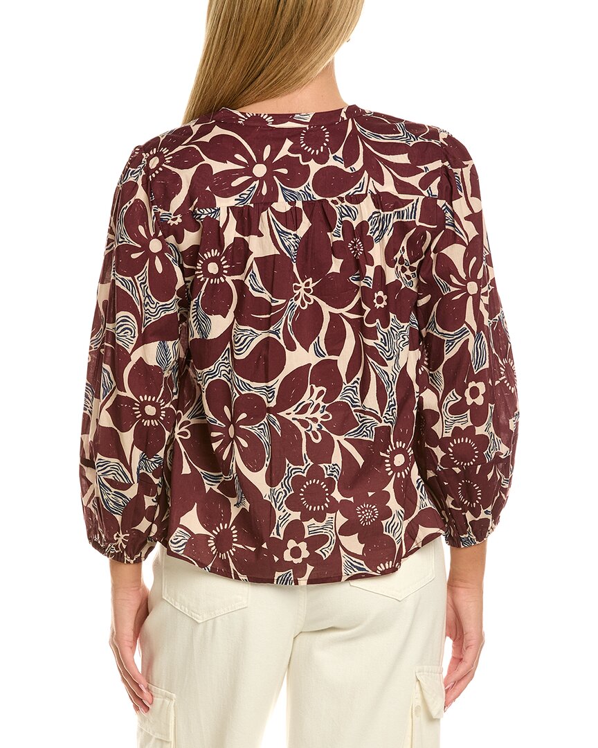 Velvet By Graham & Spencer Top