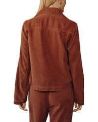 Bella Dahl Bella Dahl Utility Crop Trench Jacket