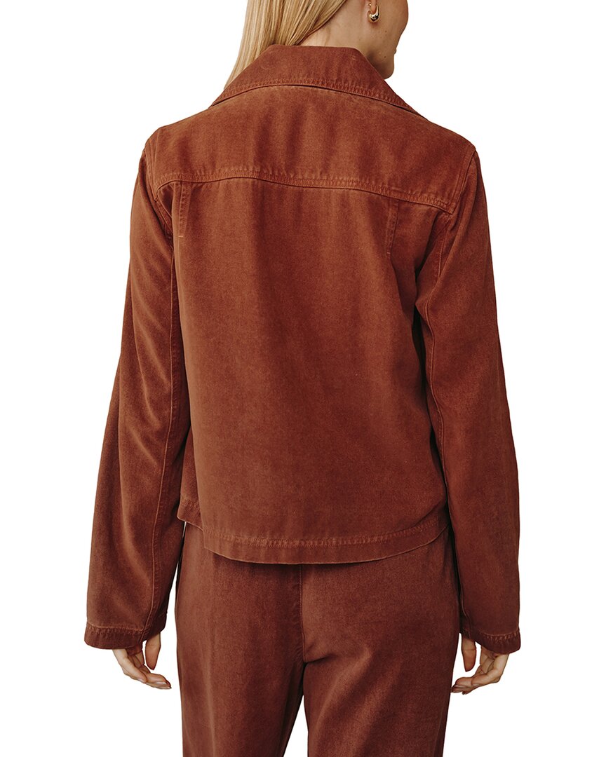 Bella Dahl Bella Dahl Utility Crop Trench Jacket