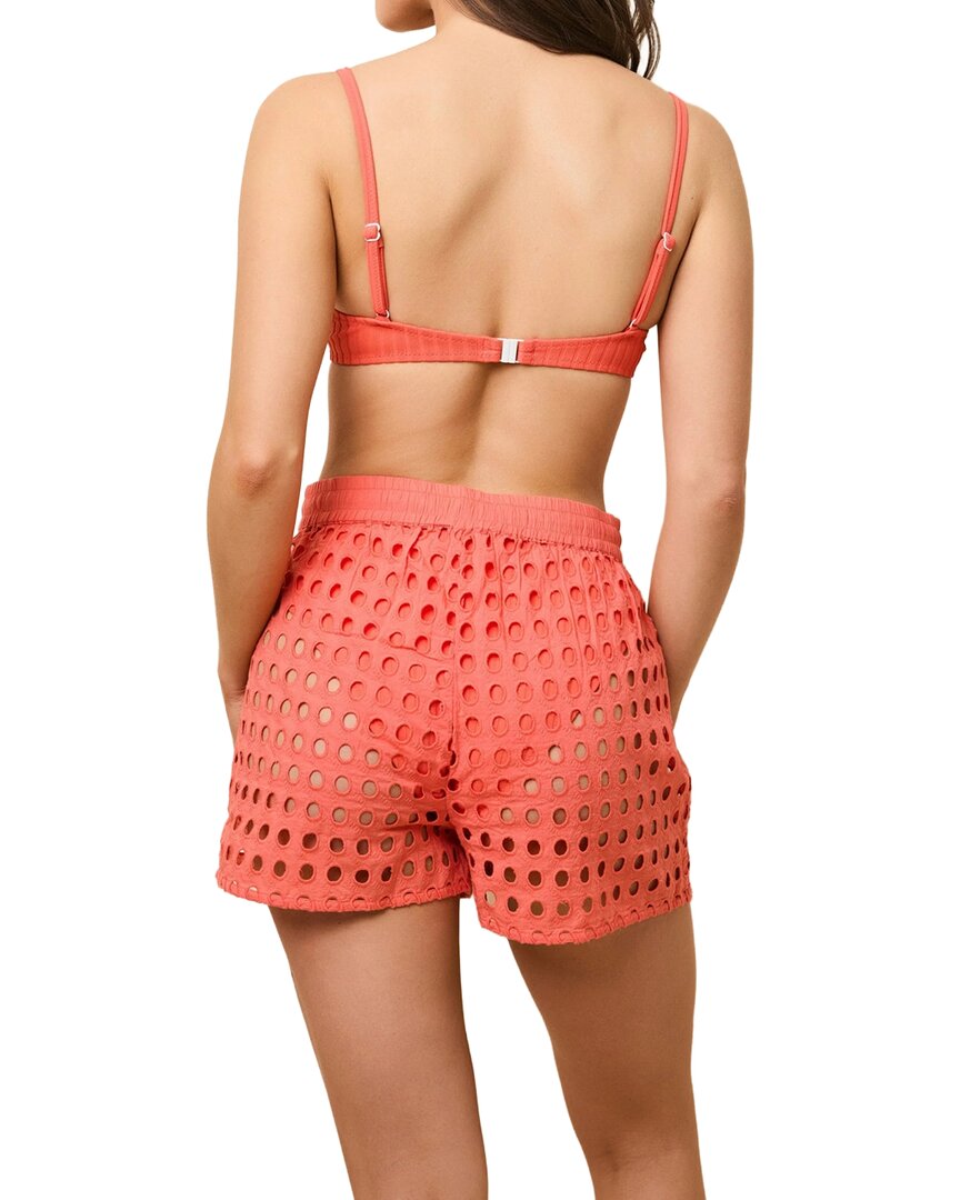 Solid & Striped Solid & Striped The Charlie Short