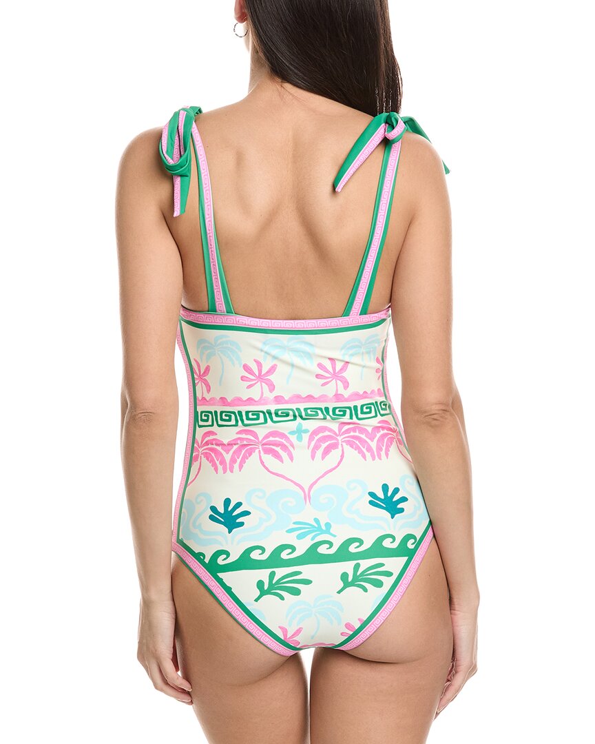 Beach Riot Shona One-Piece