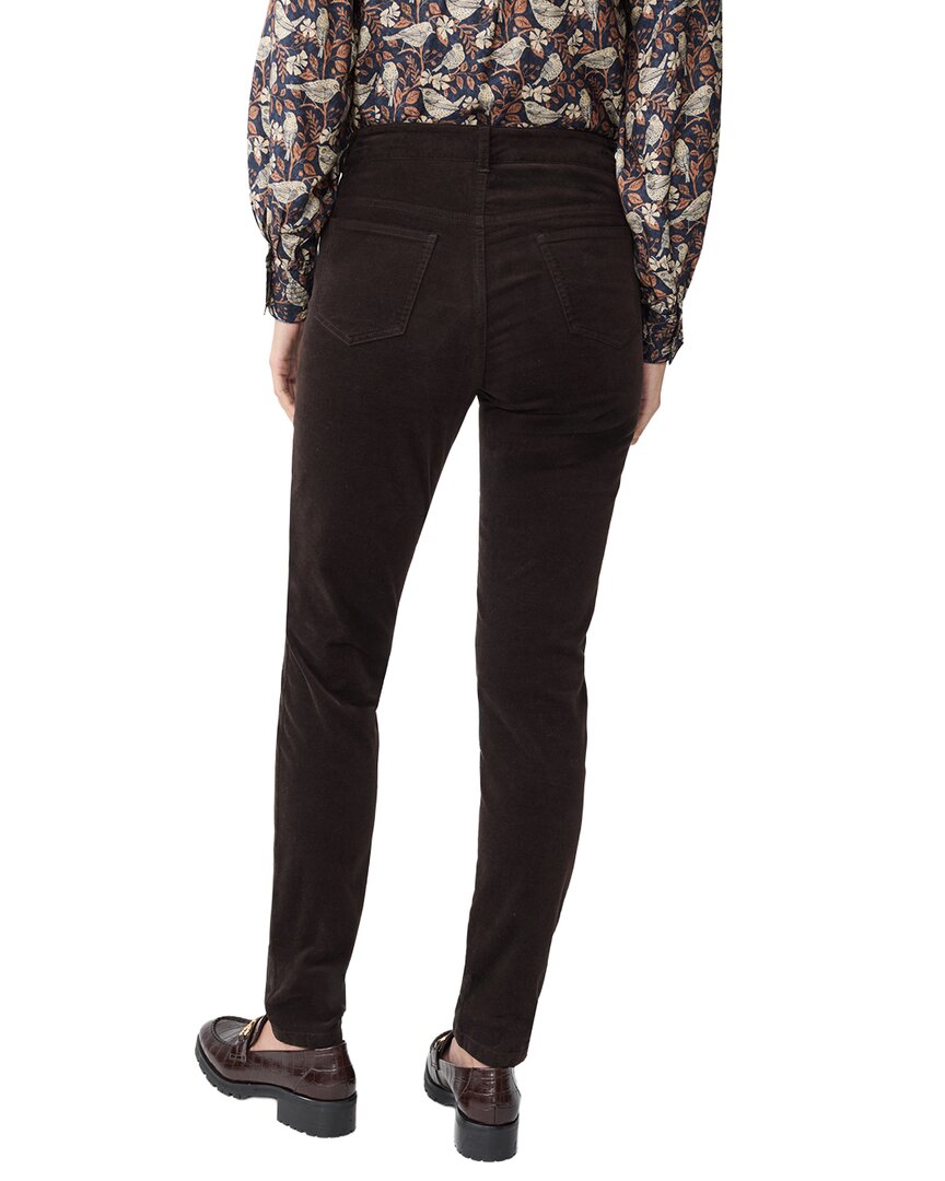 J.Mclaughlin Watson Pant