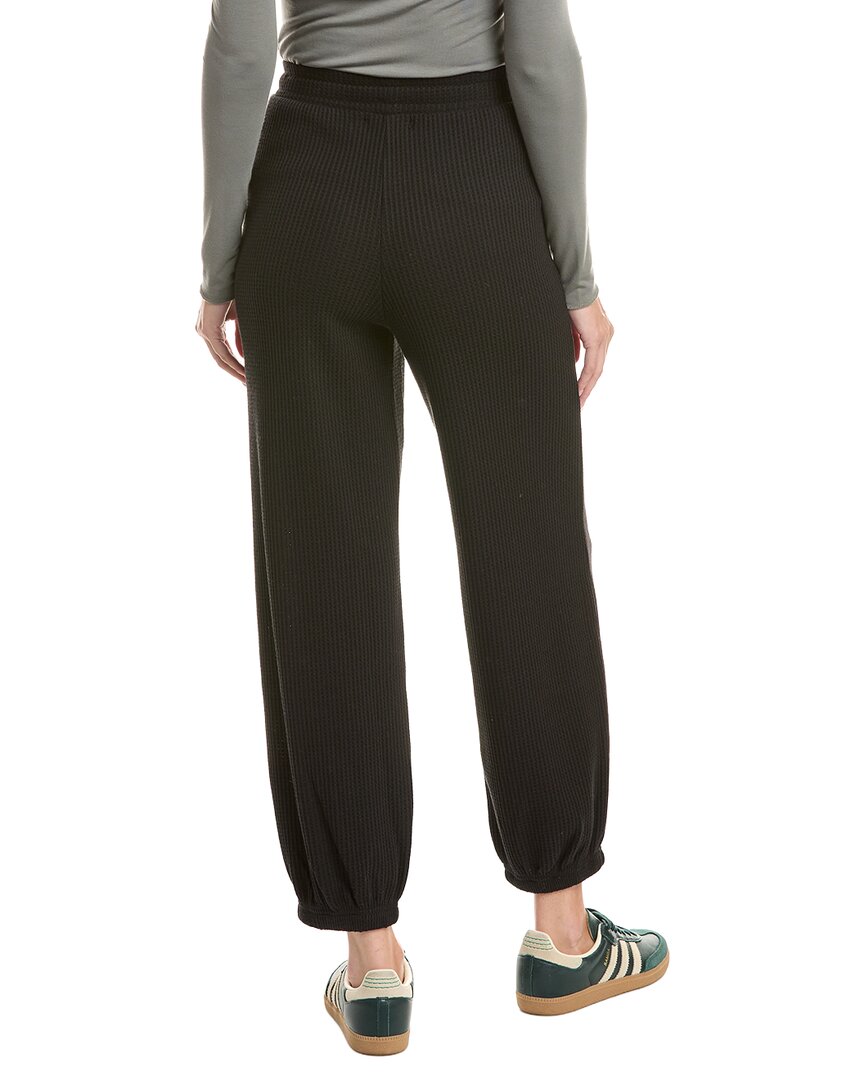 Chaser Chaser Waffle Thermal Billyy Jogger Pant