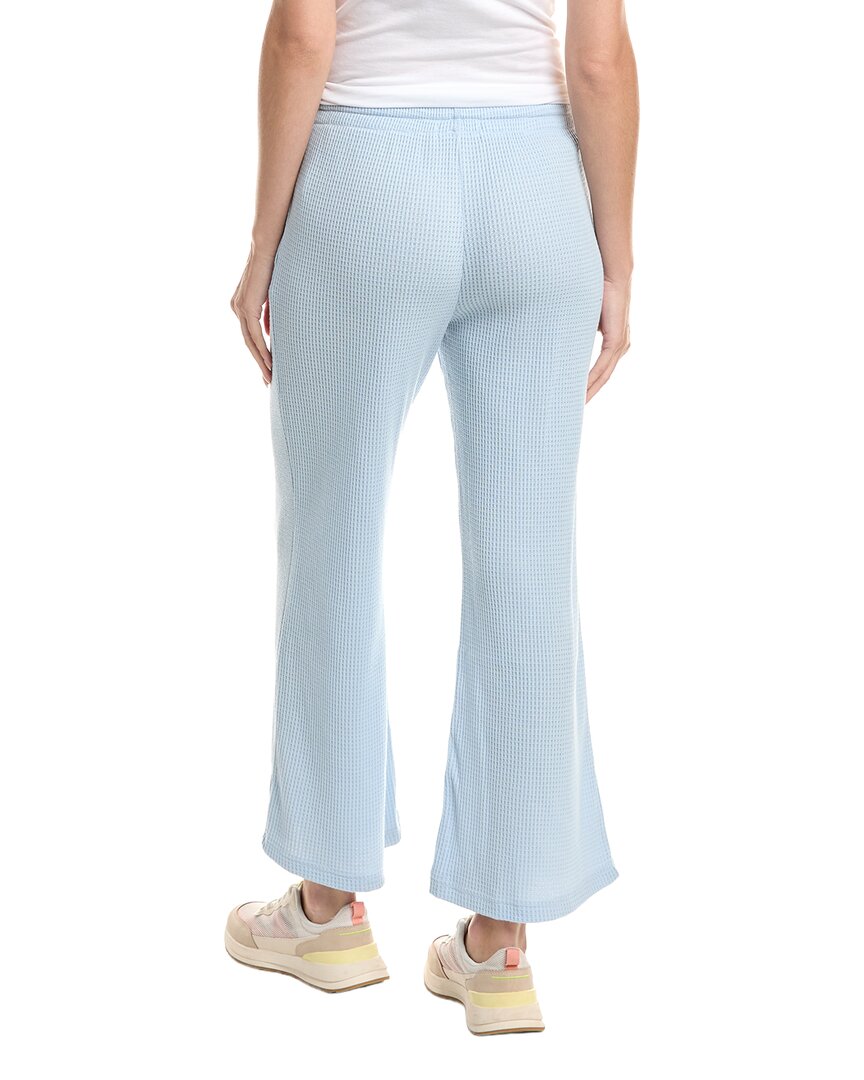 Chaser Chaser Waffle Thermal Brandy Jogger Pant