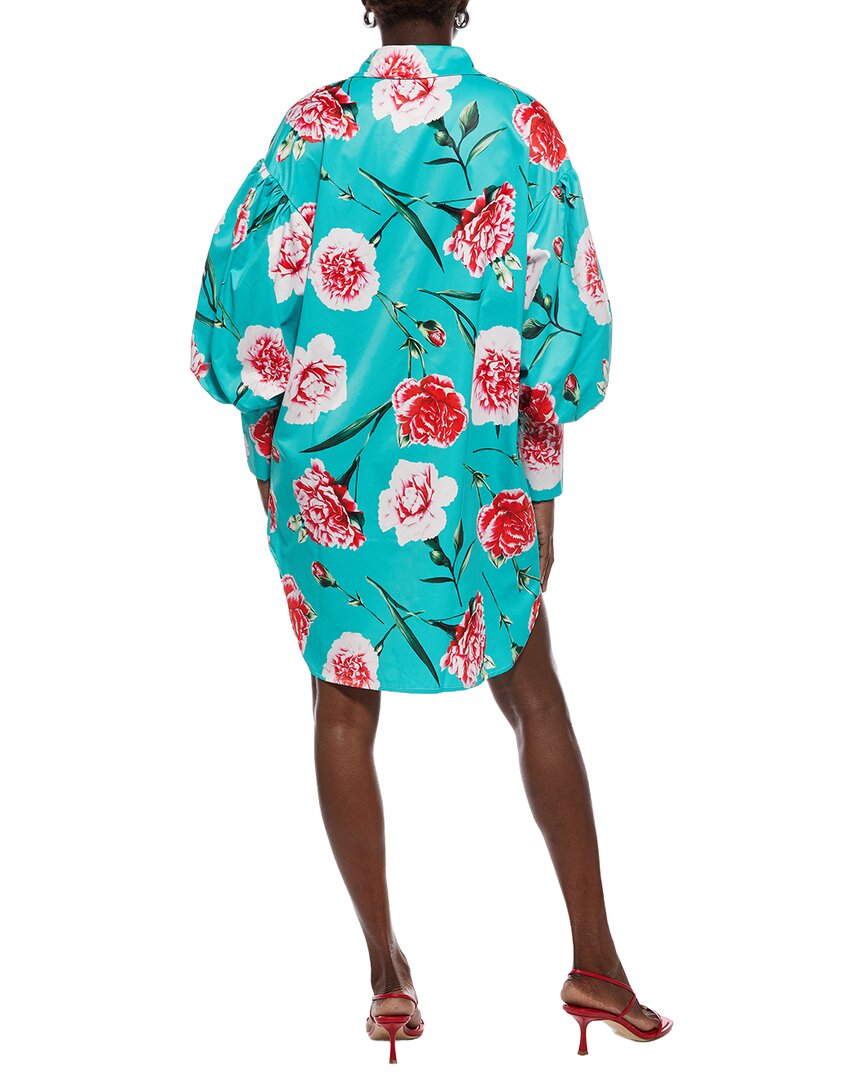 Nancy Yang Shirtdress