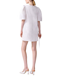 Carolina Herrera Mini Dress