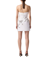 Carolina Herrera Dress