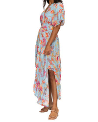 Tolani Tolani Daphne Maxi Dress