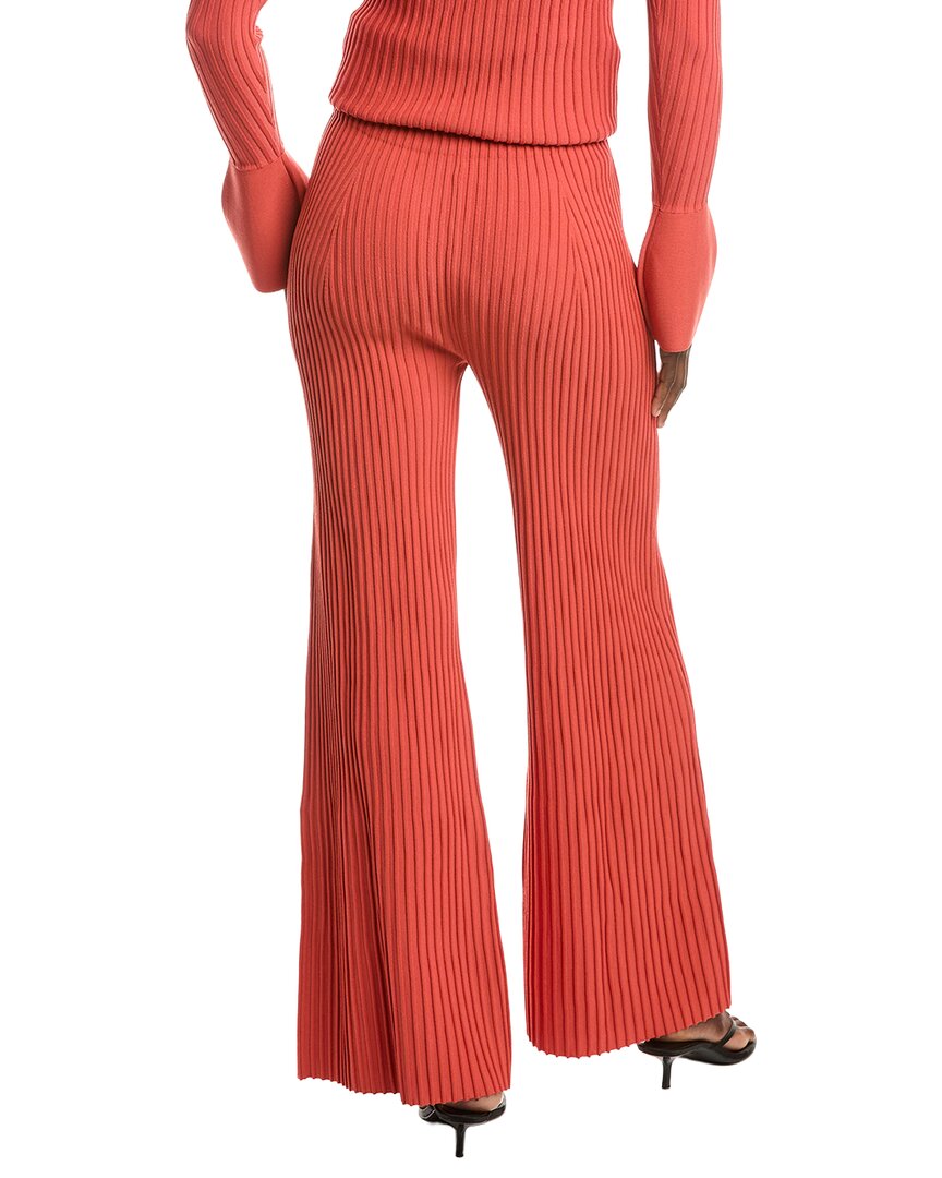 ALEXIS Alexis Boda Pant