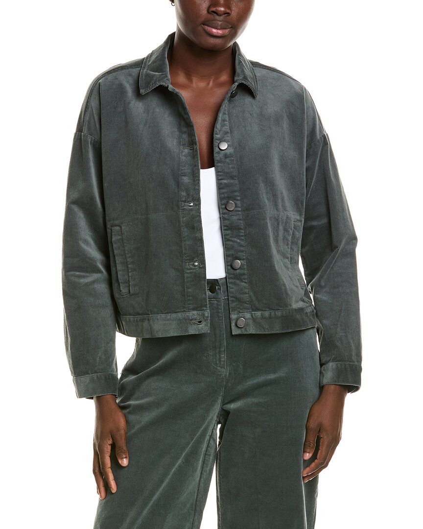 EILEEN FISHER Eileen Fisher Petite Classic Collar Jacket