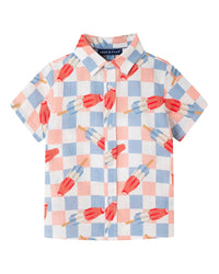 Andy & Evan Crosshatch Checkered Pop Button-Down Shirt