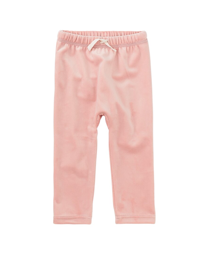 Tea Collection Very Velour Jogger Pant