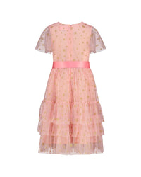 Holly Hastie Cinderella Star Tulle Party Dress