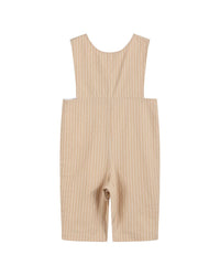 Lil Cactus Smocked Overall