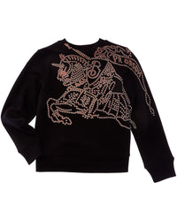 Burberry Sweater