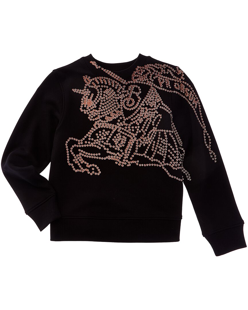 Burberry Sweater