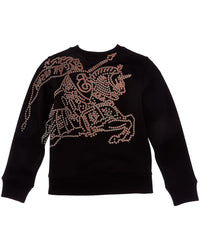 Burberry Sweater