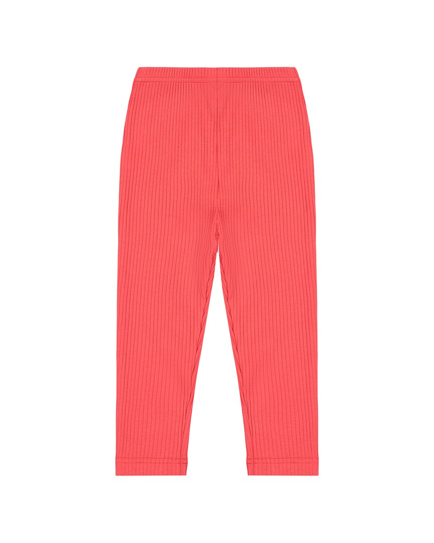 Busy Bees Legging
