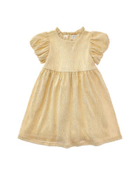 Janie and Jack Janie And Jack The Golden Moment Dress