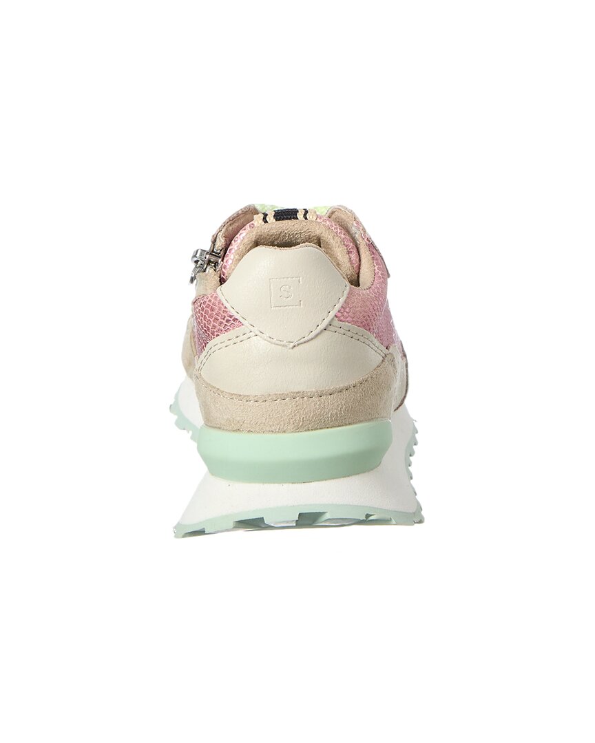 Shushop Phoebe Sneaker