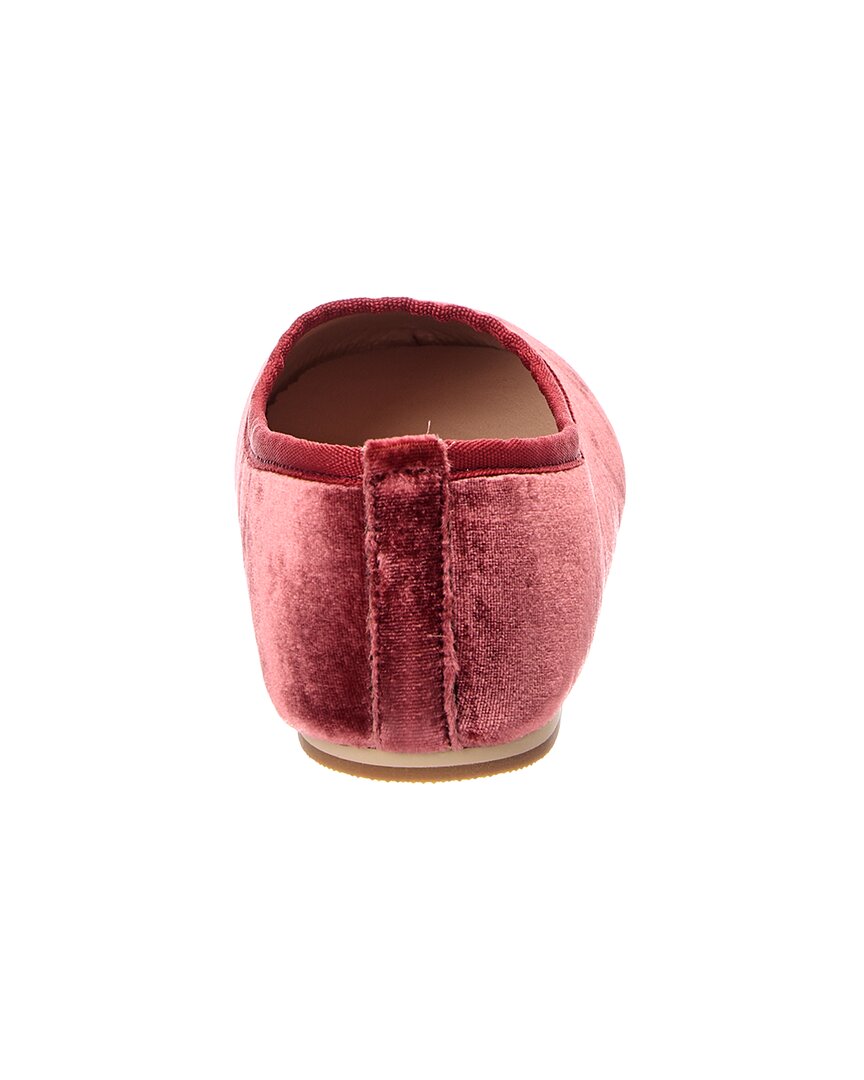 Noralee Noralee Bow Ballet Flat