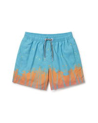 Boardies¨ Cali Swim Short 2T Multi