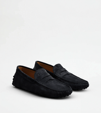Tods Suede Gommino Driving Loafers in Black