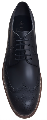 Tods Leather Wingtip Brogue Oxford Shoes