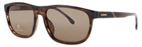 Carrera Carrera Sunglasses Brown