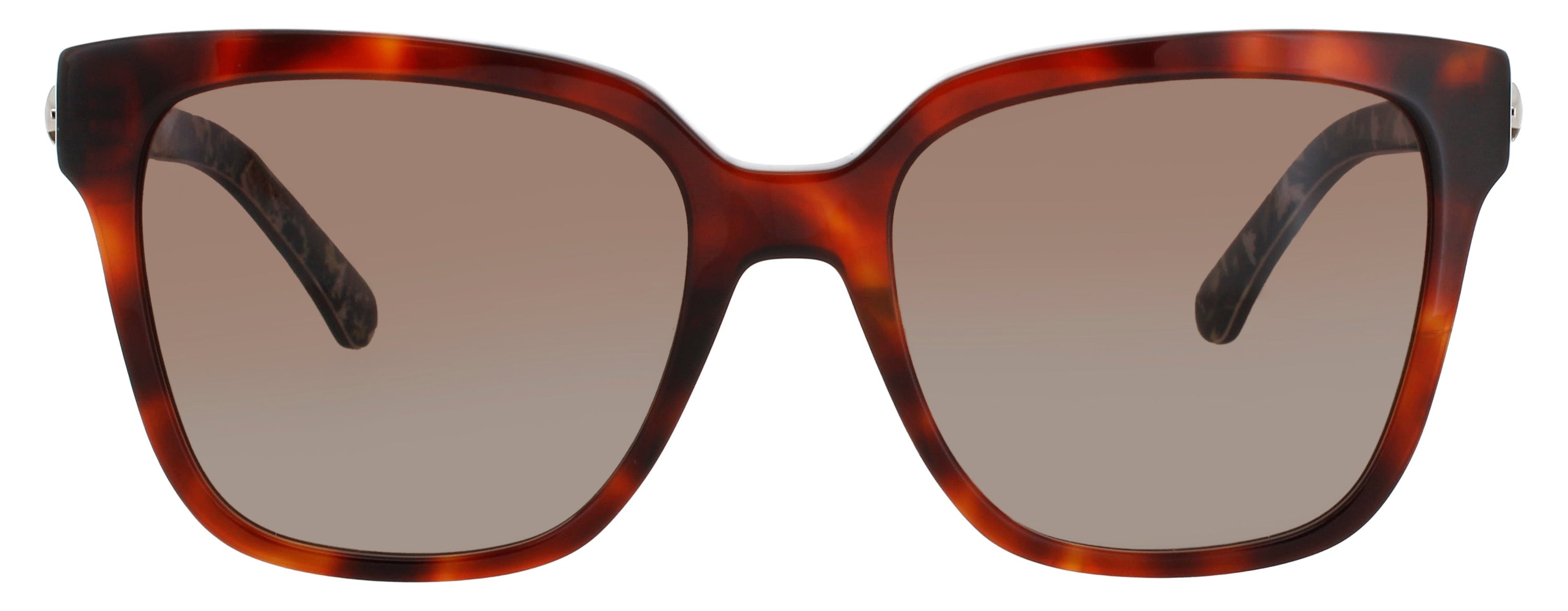 Kate Spade Kate Spade Sunglasses Brown
