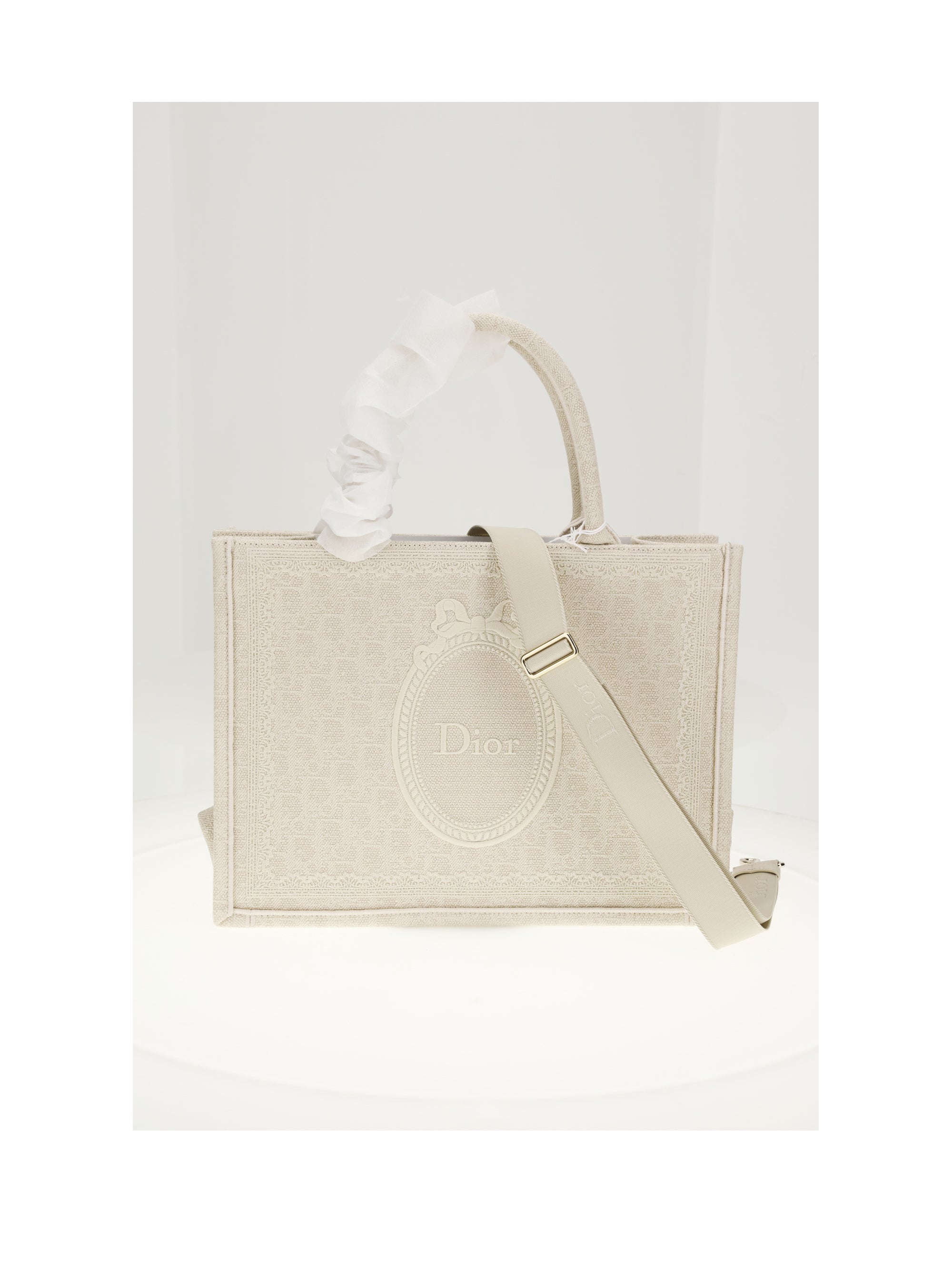 DIOR Dior Women Medium Booktote Medallion Oblique